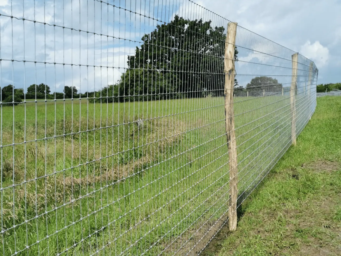 Wildschutzzaun aus Knotengeflecht mit Holzpfählen