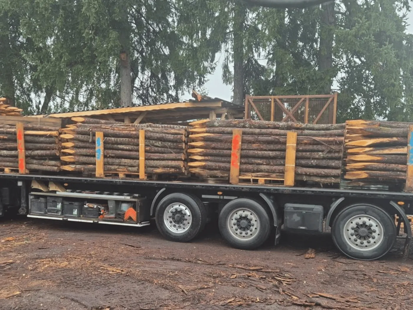 Eiken ronde palen, geladen op de vrachtwagen