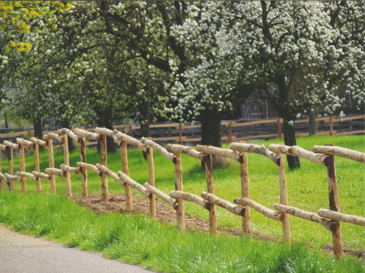 Zaun aus Kastanie mit Riegeln entlang einer Obstwiese