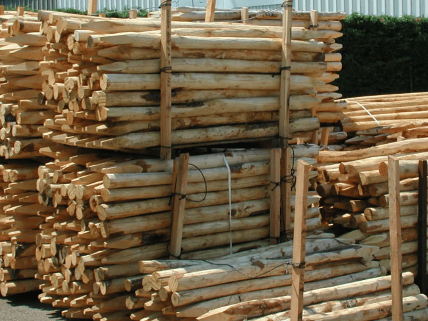 Estacas redondas de castaño, paletizadas y trincadas en el patio