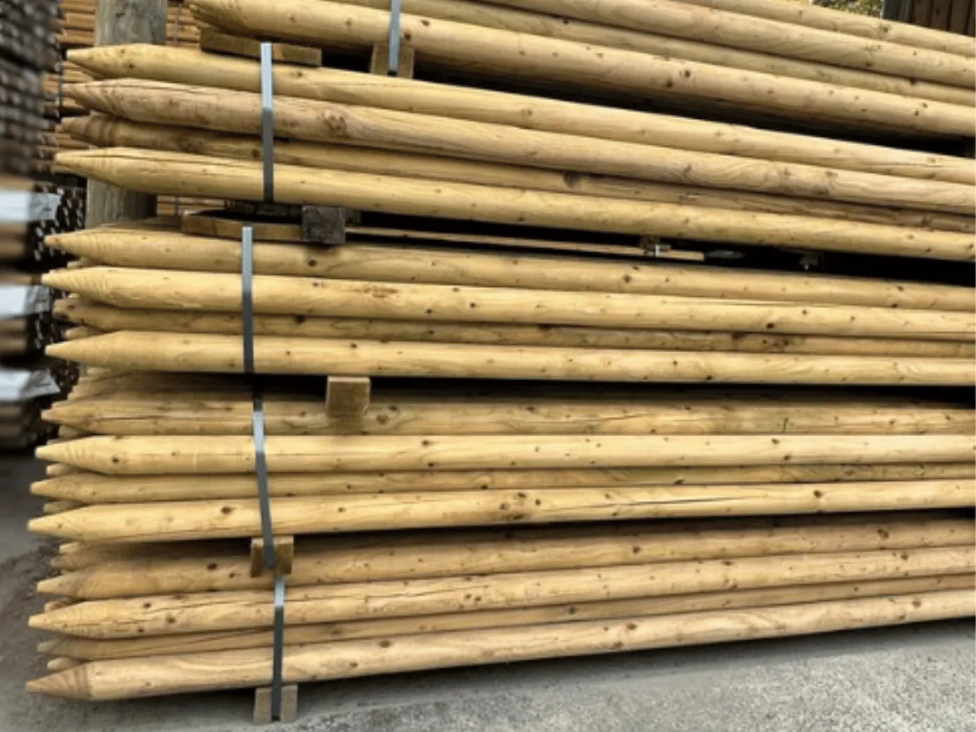 Nadelholzpfähle kesseldruckimprägniert in Grün, gespitzt und gebündelt