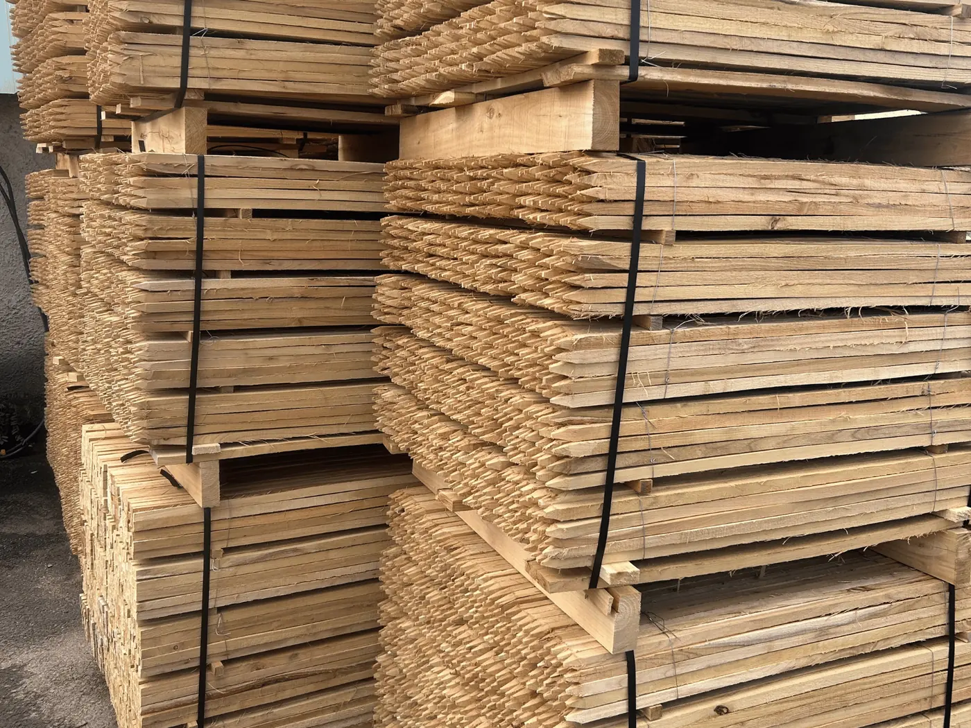 Robinia plantstokken, aangepunt en in lagen op pallets