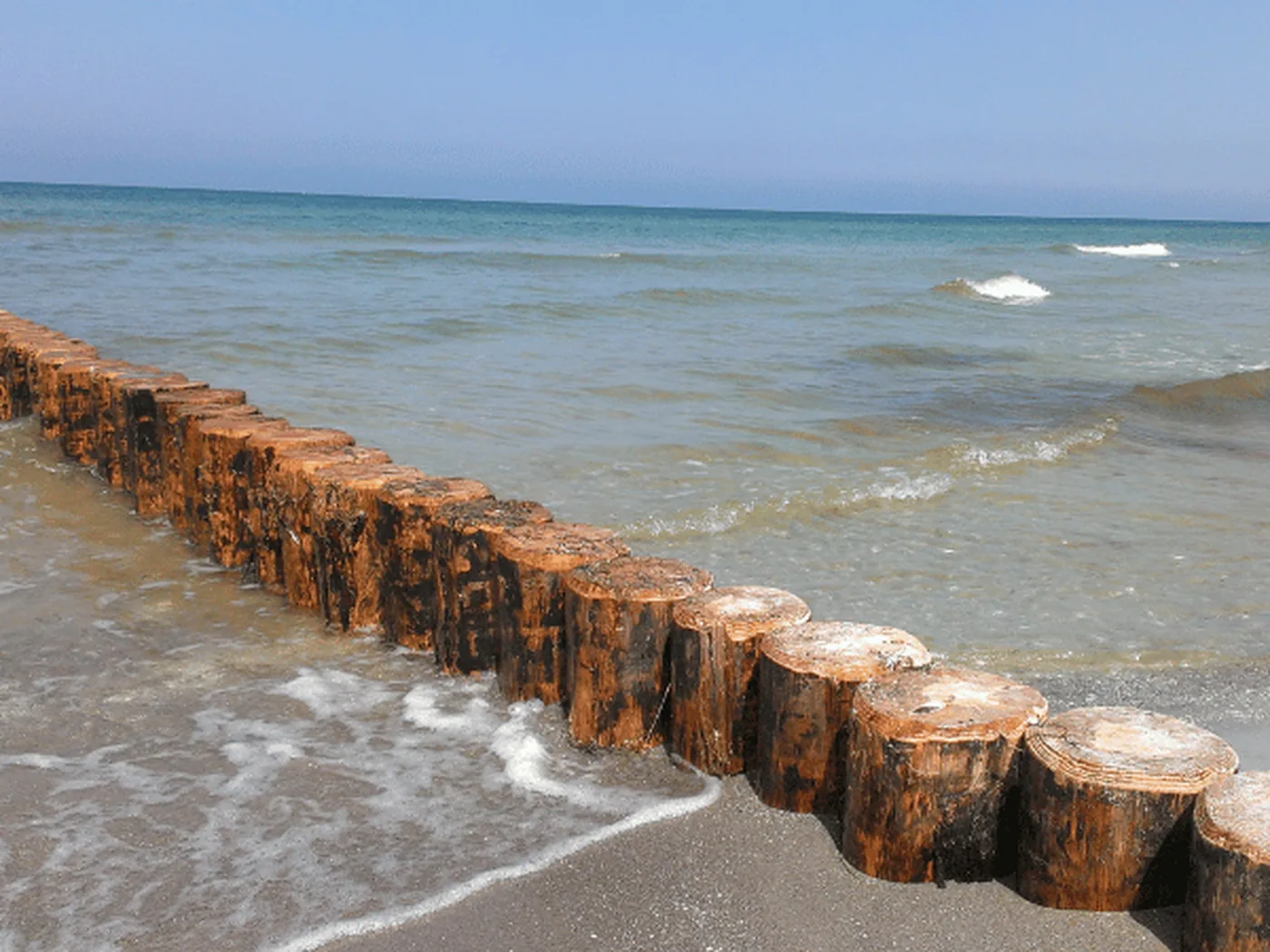 Heipalen als krib op het strand