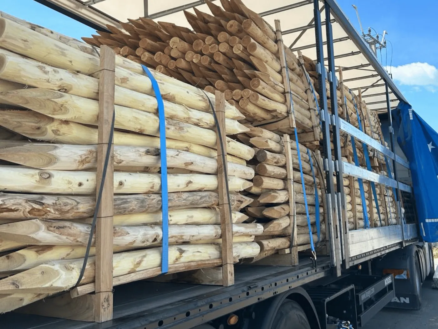 Robinia palen geschild, geladen op de vrachtwagen