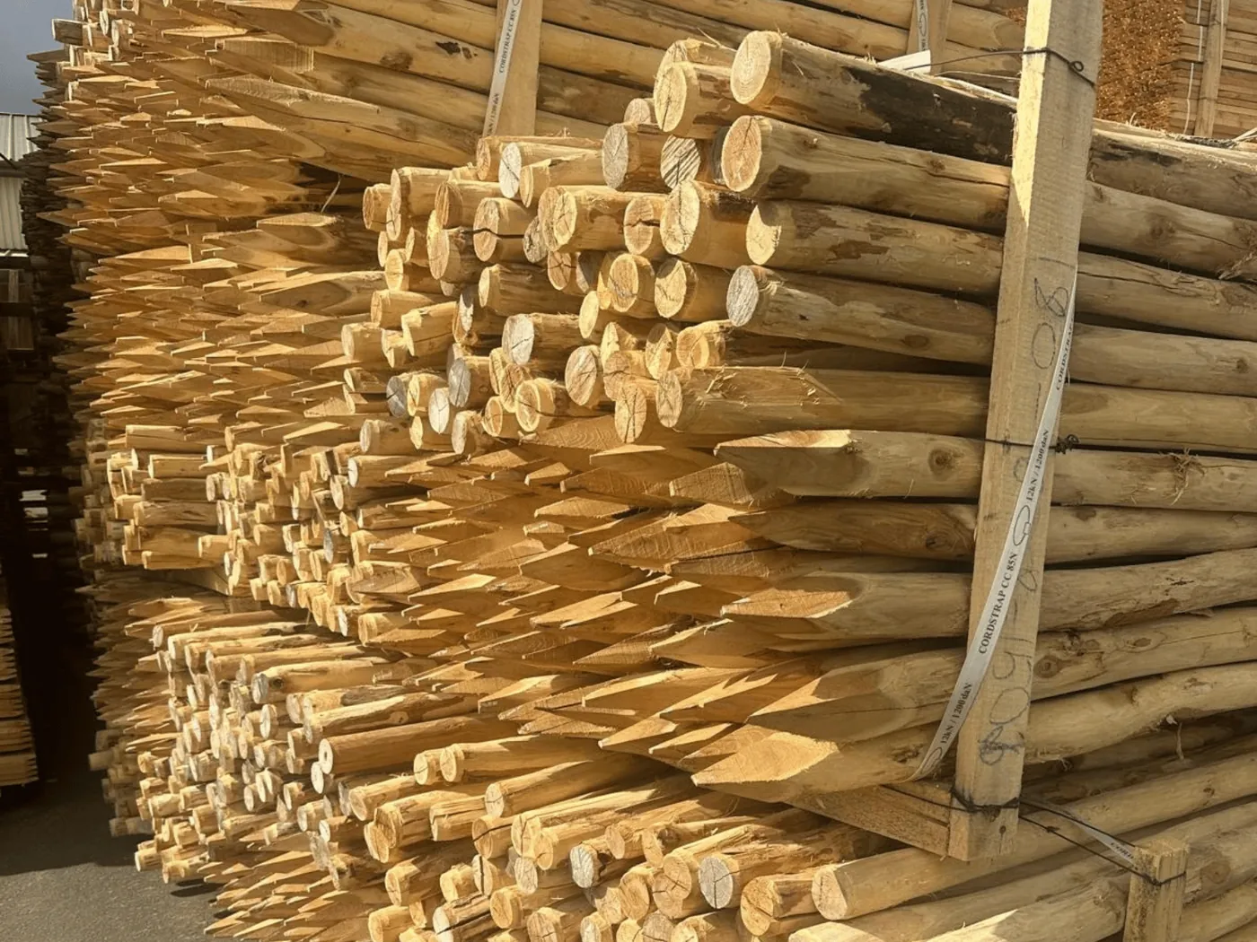 Robinia palen, aangepunte uiteinden en kopse kanten van dichtbij