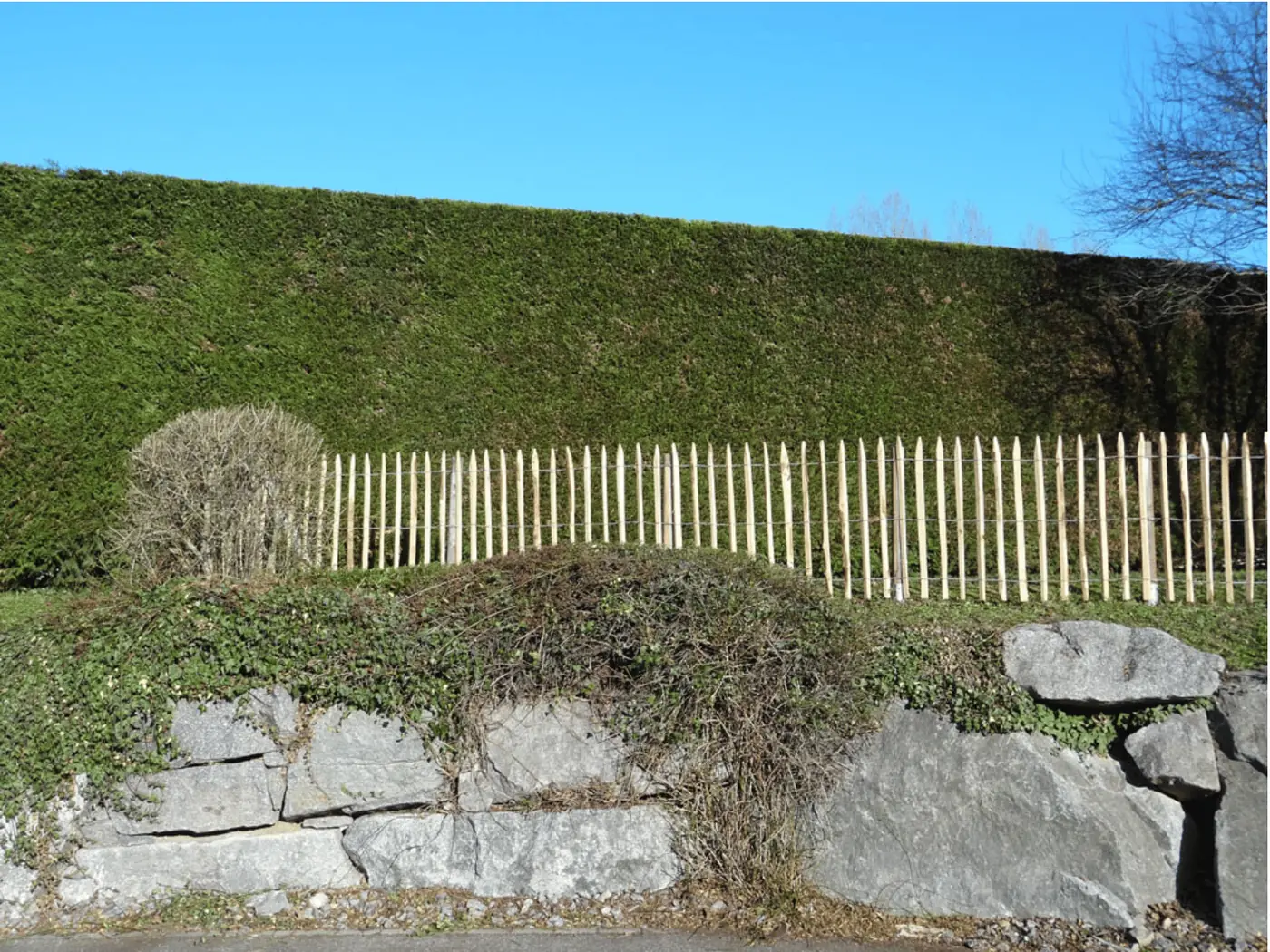 Staketenzaun aus gesägter Kastanie vor einer Hecke