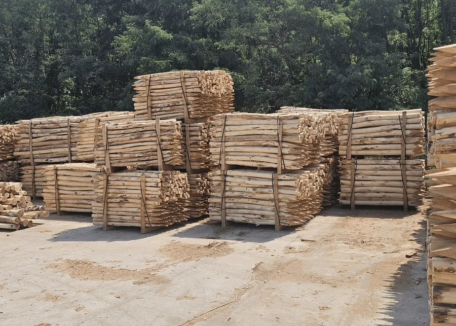 Robinia palen op de pallet