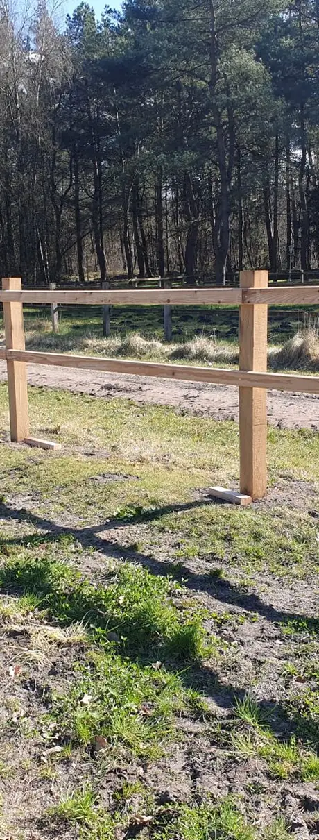 Koppelzaun am Reitweg