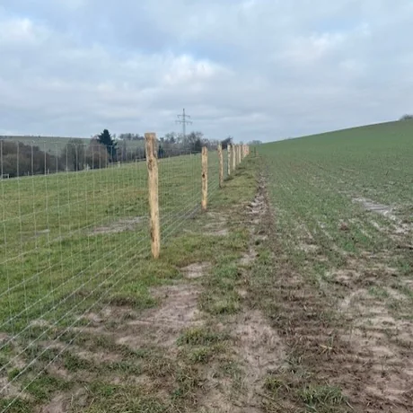 Wildzaun am Feldrand