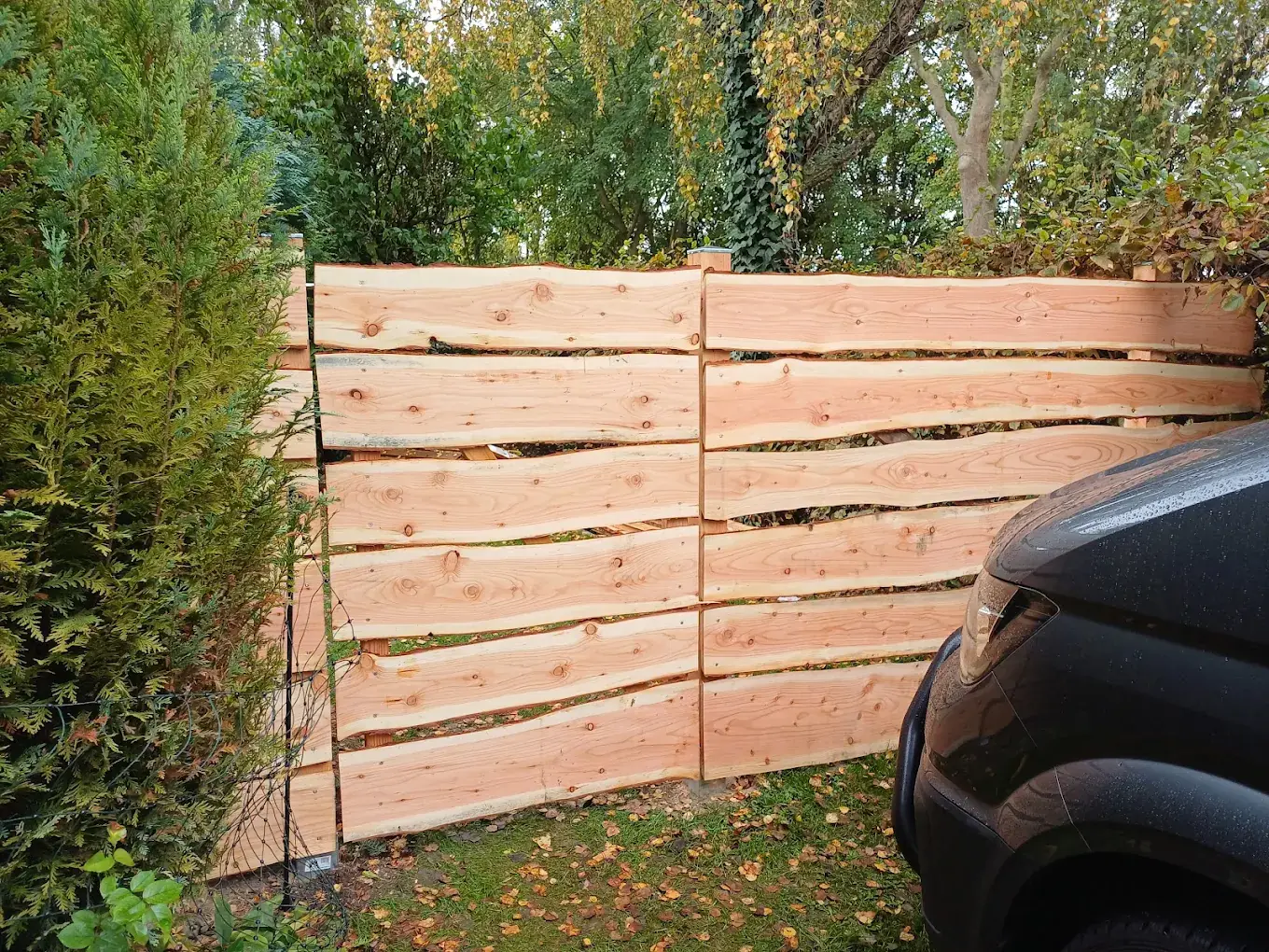 Bonanza-Zaun aus gehobelter Lärche mit natürlicher Baumkante im Garten