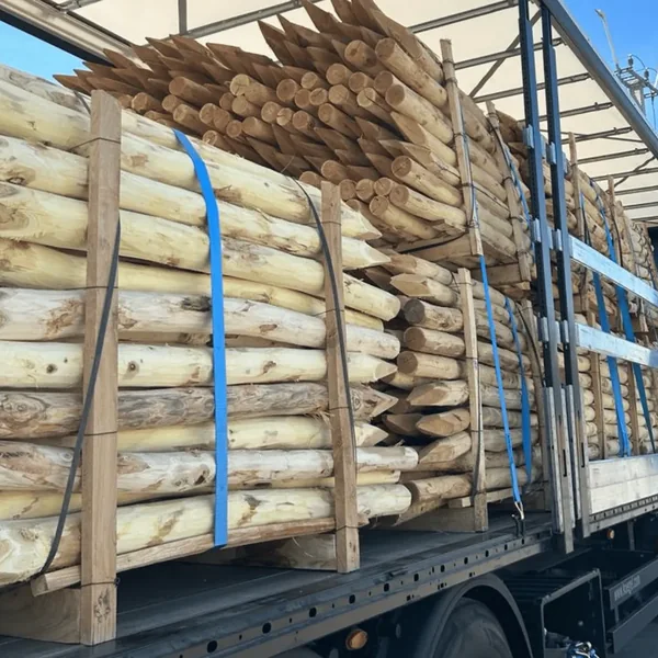 Robinienpfähle gebündelt auf dem LKW, versandfertig