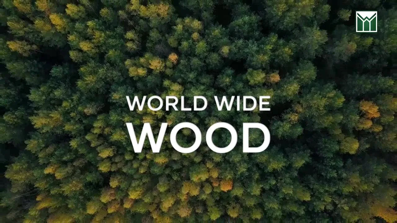 Startbeeld van de bedrijfsfilm van World Wide Wood